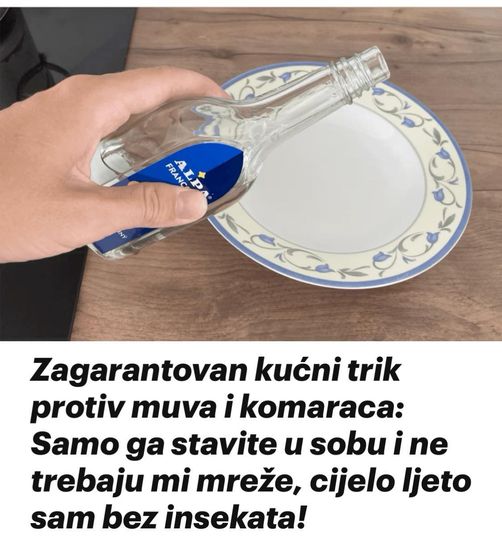 Zagarantovan kućni trik protiv muva i komaraca: Samo ga stavite u sobu i ne trebaju mi ​​mreže, cijelo ljeto sam bez insekata!