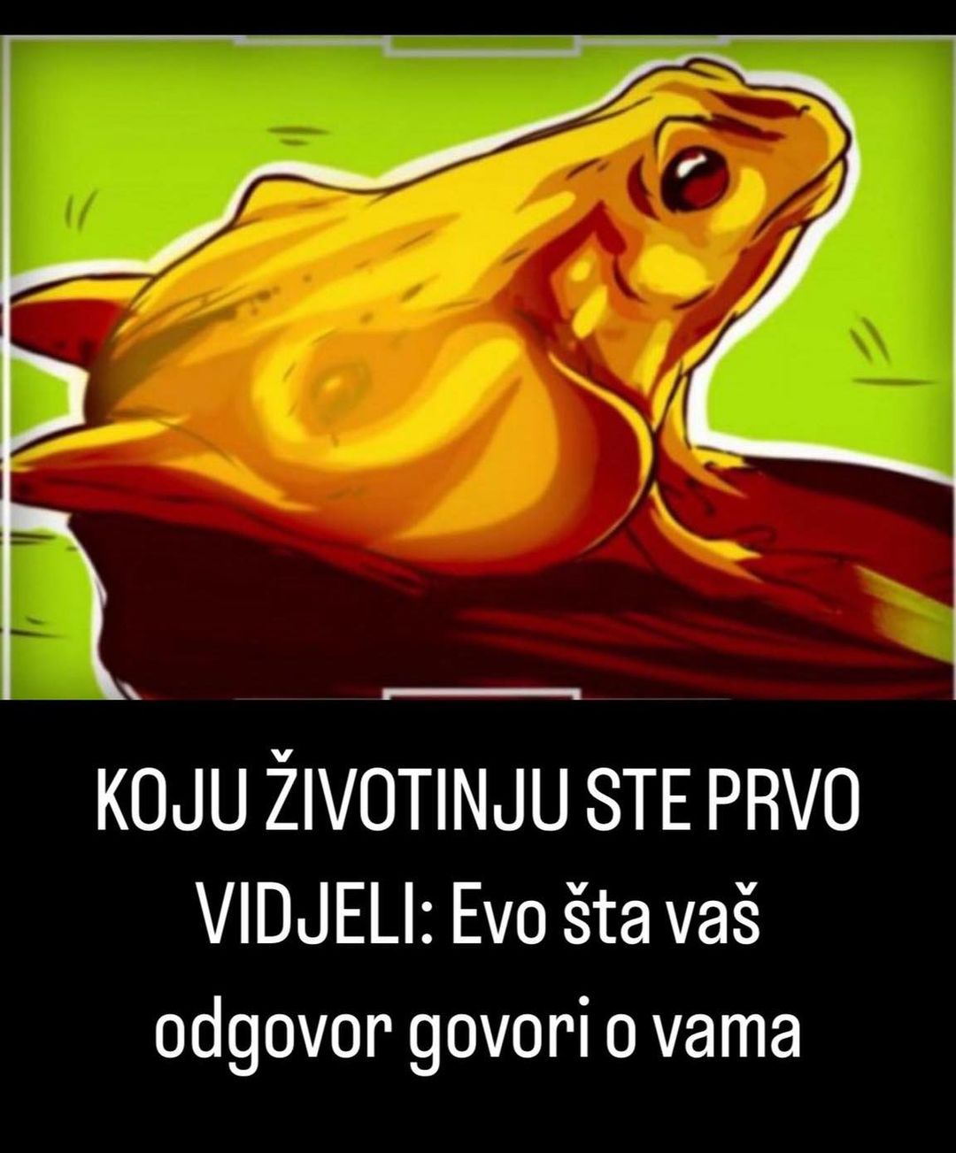 KOJU ŽIVOTINJU STE PRVO VIDJELI: Evo šta vaš odgovor govori o vama