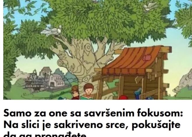 Samo za one sa savršenim fokusom: Na slici je sakriveno srce, pokušajte da ga pronađete