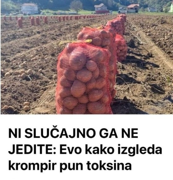 Evo kako izgleda krompir pun toksina: NI SLUČAJNO GA NE JEDITE