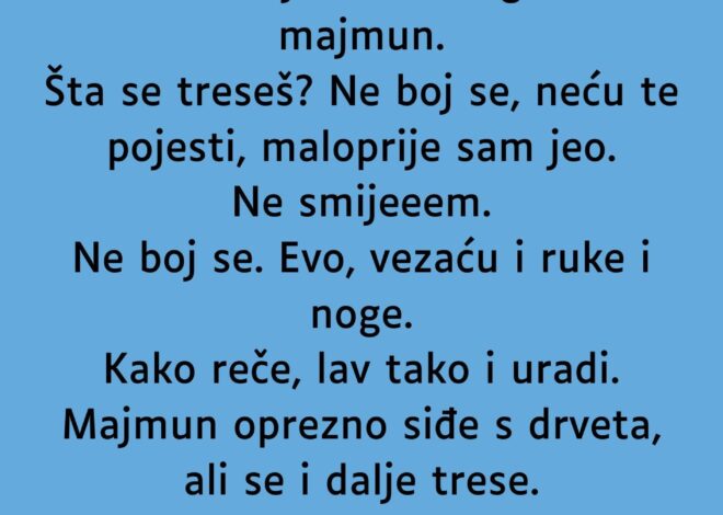 VIC: Majmun i lav