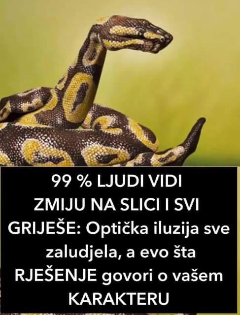 99 % LJUDI VIDI ZMIJU NA SLICI I SVI GRIJEŠE: Optička iluzija sve zaludjela, a evo šta RJEŠENJE govori o vašem KARAKTERU