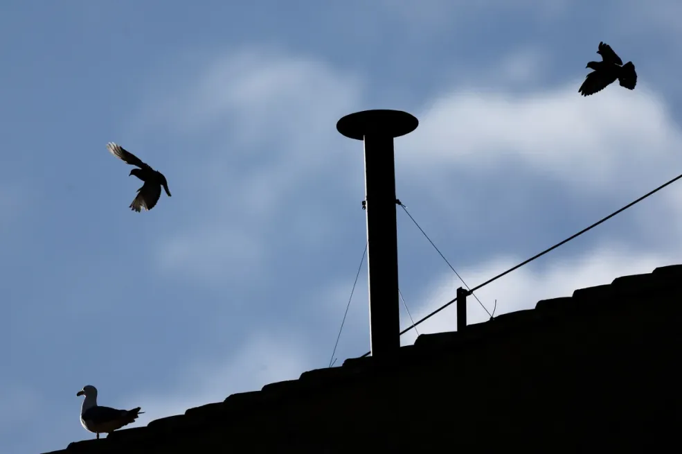 Pojavio se dim iz Sikstinske kapele: Prvi krug konklave, šta ovo znači